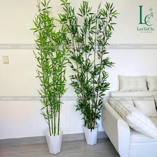 Cây giả - cây trúc quân tử giả độ cao 120cm - 200cm - giá 1 cây