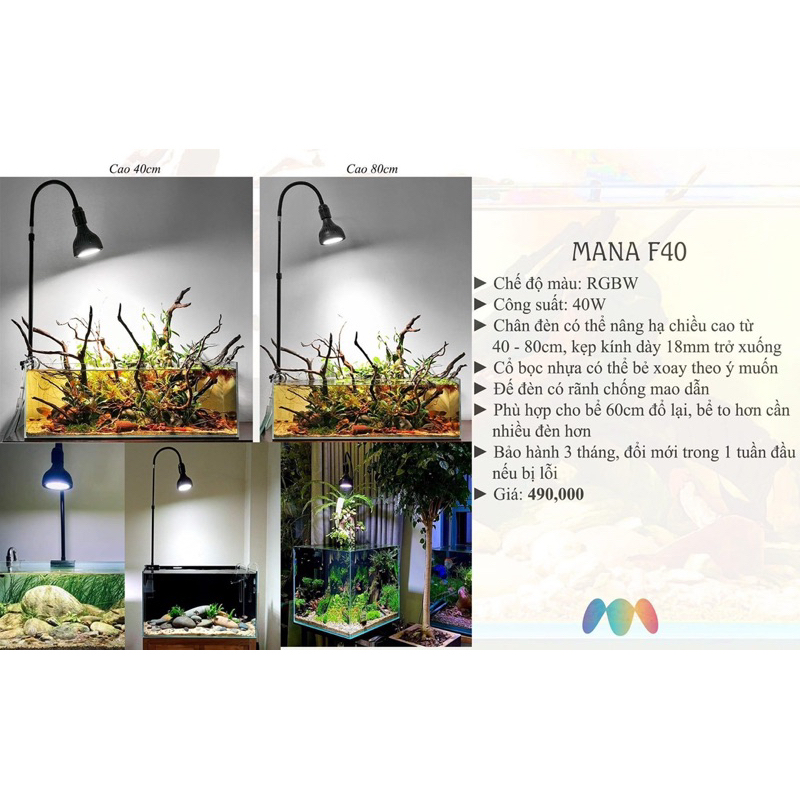 Đèn kẹp thành hồ F40