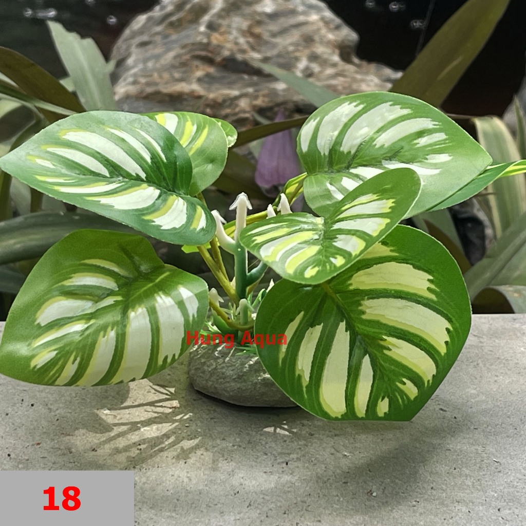 100 mẫu Cây nhựa, cây giả trang trí bể cá, cây giả và cây nhựa kích thước 12x12x10cm trang trí bể cá đẹp