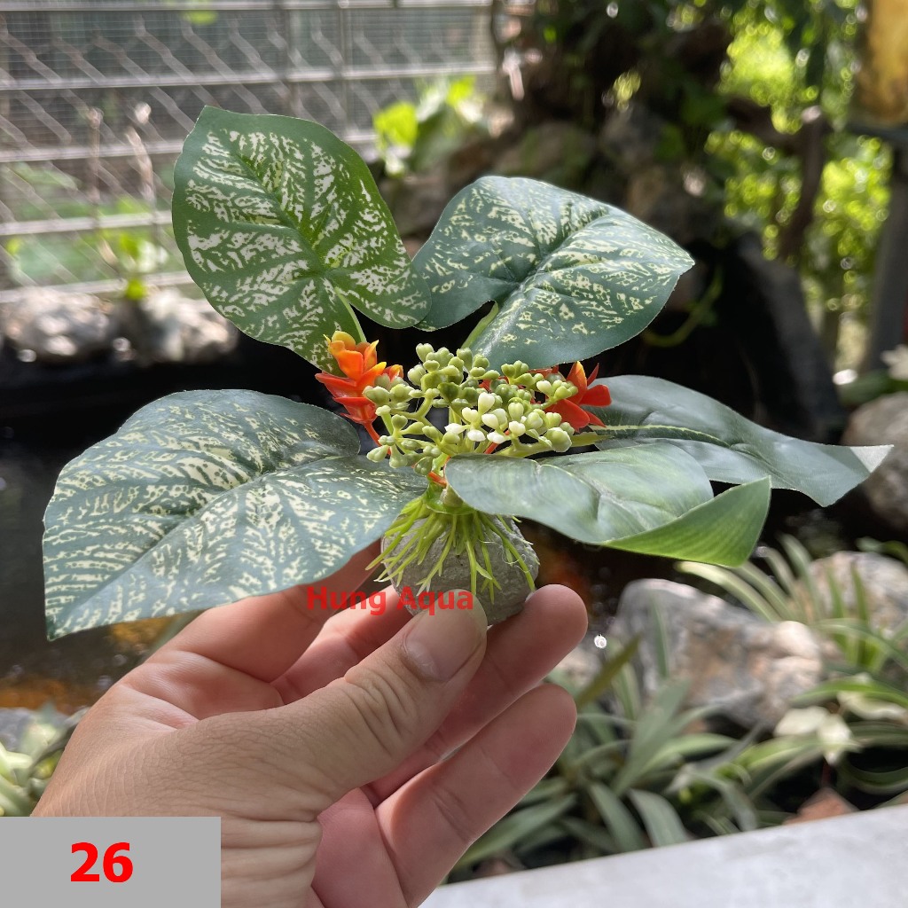 100 mẫu Cây nhựa, cây giả trang trí bể cá, cây giả và cây nhựa kích thước 12x12x10cm trang trí bể cá đẹp