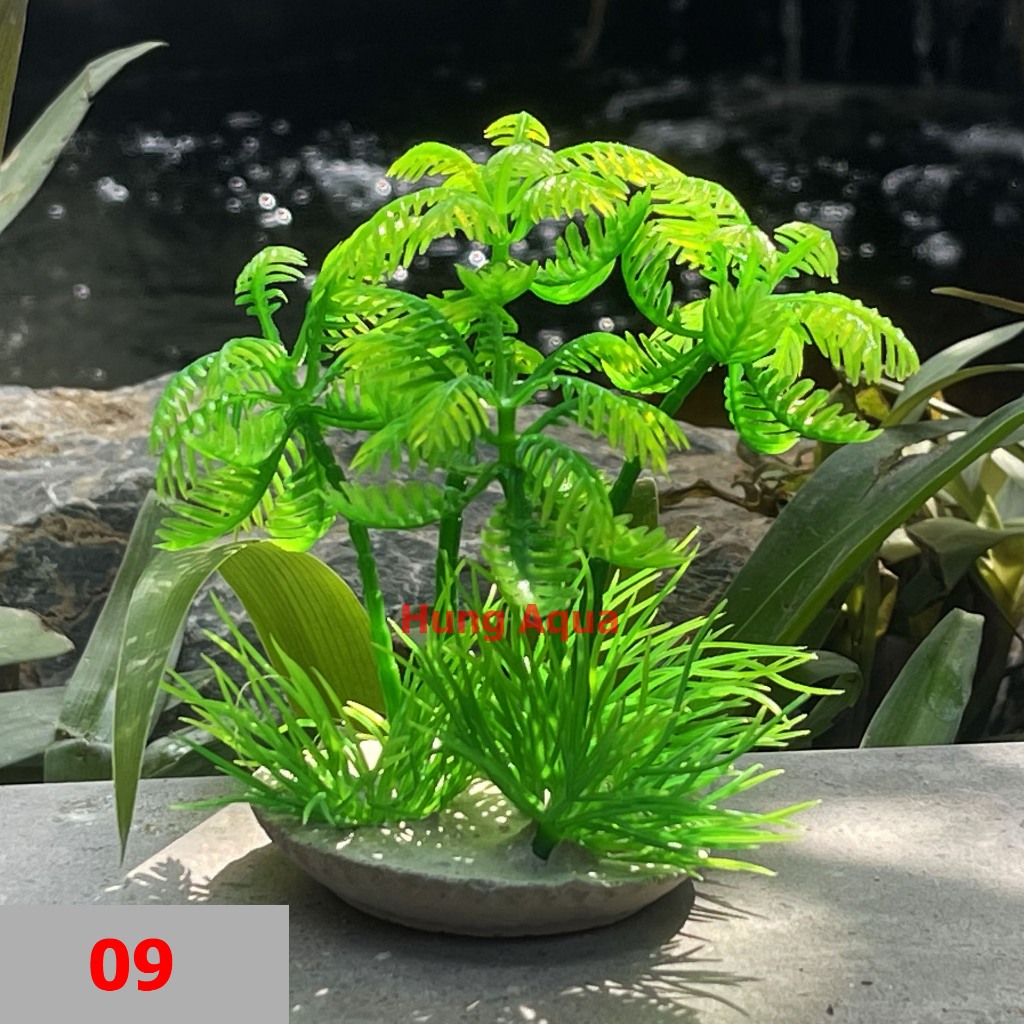 100 mẫu Cây nhựa, cây giả trang trí bể cá, cây giả và cây nhựa kích thước 12x12x10cm trang trí bể cá đẹp