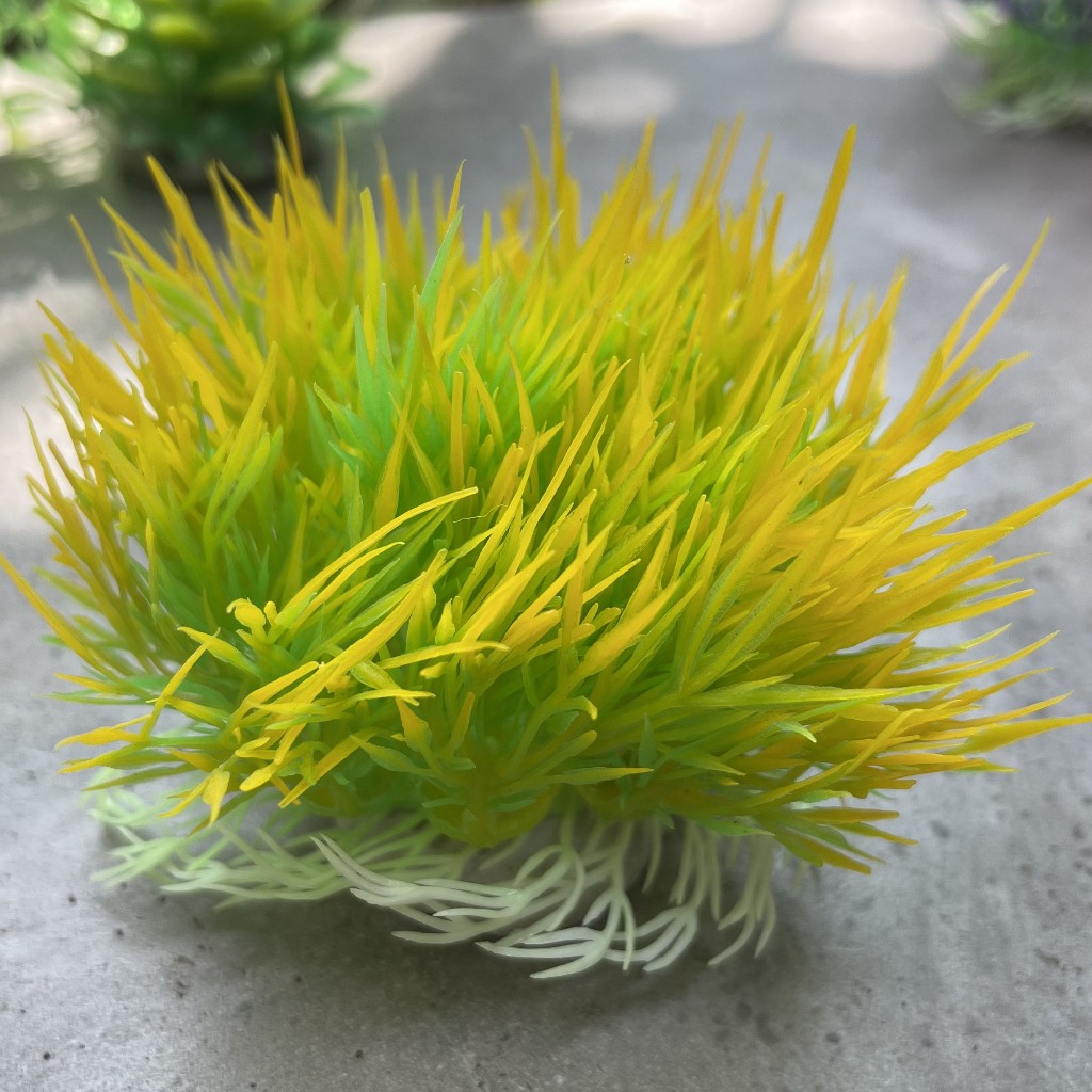 100 mẫu Cây nhựa, cây giả trang trí bể cá, cây giả và cây nhựa kích thước 12x12x10cm trang trí bể cá đẹp