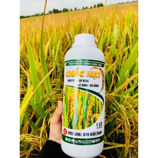PHÂN BÓN GIÚP HẠT LÚA CHÍN CHẮC TỚI CẬY, NO TRÒN, NẶNG KÍ - CHẮC HẠT 1L