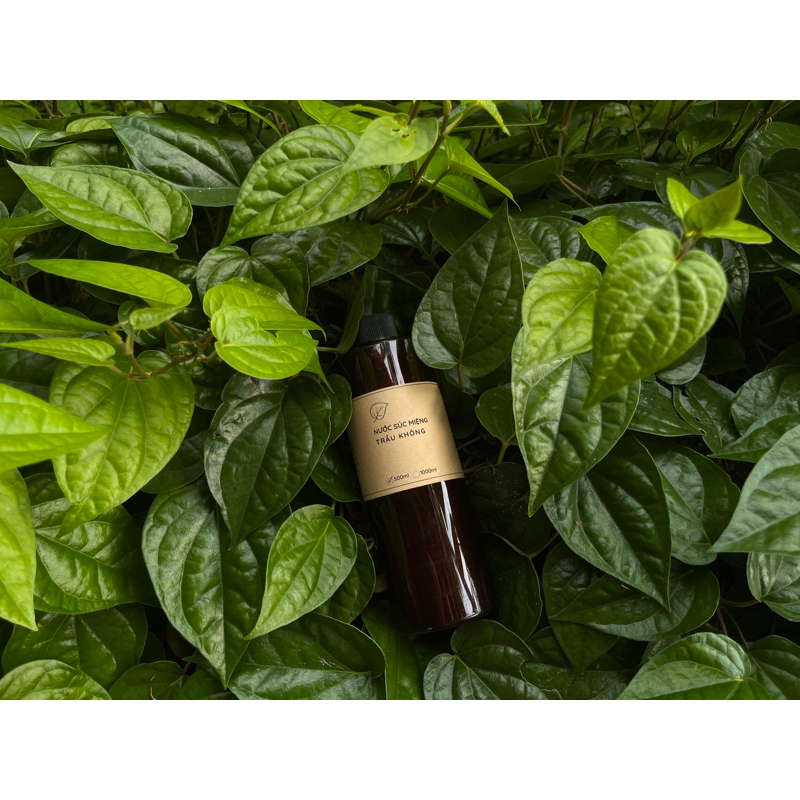 NƯỚC SÚC MIỆNG TRẦU KHÔNG-SẢN PHẨM TỪ VƯỜN