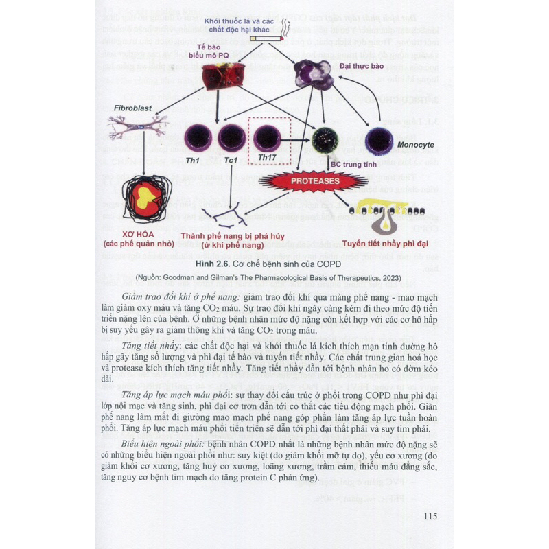 Sách - Bệnh học