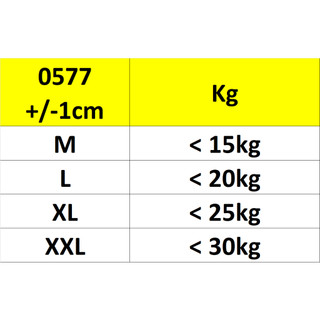 0577 - Combo 5 quần chip bé gái hình heo