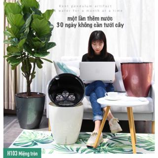 Chậu Trồng Cây Thông Minh Tự Dưỡng Size Cỡ Lớn Tròn Dùng Để Trồng Cây Cỡ Vừa - H103