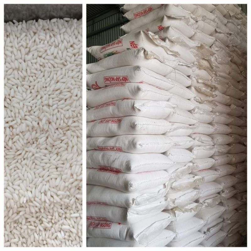 NẾP SÁP NGỖNG 1KG Dẻo mềm nấu xôi, làm bánh , nấu chè....