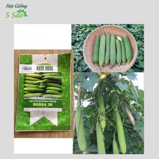 Hạt giống Mướp Hương Rossa 38 ( 5 gr )