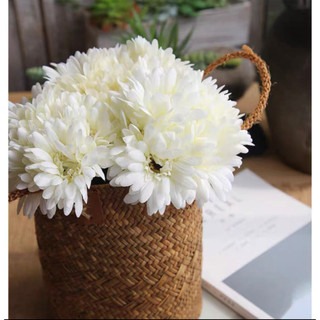 Hoa Lụa Đẹp 🌺 Hoa Giả Đồng Tiền 1 Bông Để Bàn Cao Cấp
