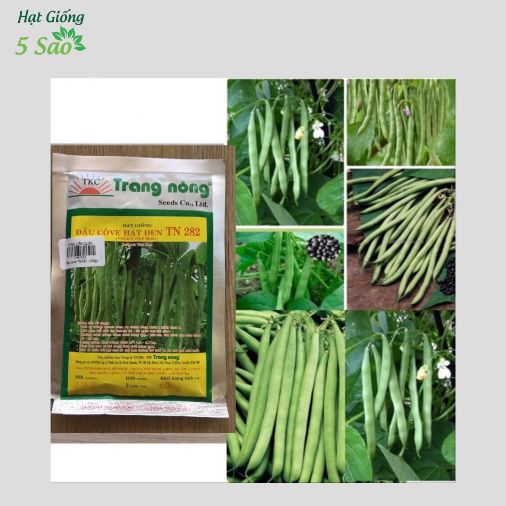 Đậu Cove hạt đen TN 282 ( 20 gr )