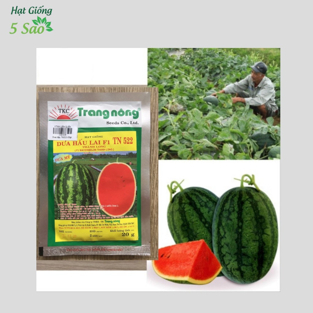 Dưa Hấu Lai F1 TN 522 ( 20gr ).