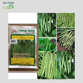 Đậu Cove hạt đen TN 282 ( 100gr )