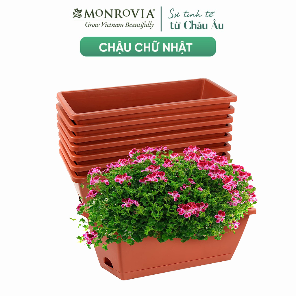 Bộ chậu trồng cây chữ nhật Monrovia, chậu trồng hoa, cây cảnh, chậu treo ban công, treo tường, siêu bền bỉ