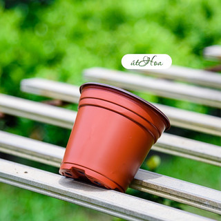 Chậu nhựa nâu N12 size nhỏ trồng cây, ươm cây