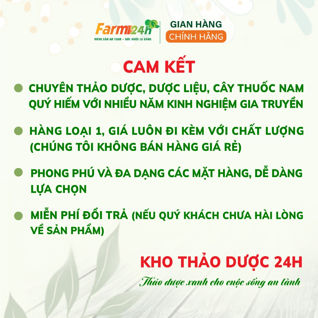 50 loại bột tạo màu thực phẩm hữu cơ rau củ quả lá nếp/lá dứa/gấc/dành dành/củ dền/trà xanh/ bí đỏ/ bồ ngót/ khoai lang