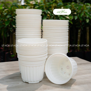 50 chậu nhựa Trắng T20 (20x15 cm) trồng cây có sọc đẹp
