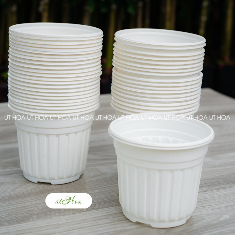 100 chậu nhựa trắng T20 (20x15 cm) trồng cây có vành cứng