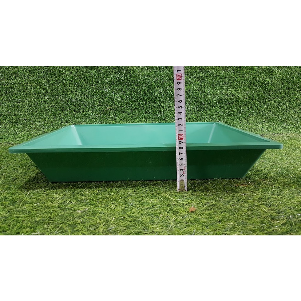 Combo 10 cái khay xanh 40-50-8cm đựng nước trồng lan làm mát và trồng rau ươm giống rau mầm