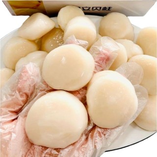 Cồi sò điệp nhật size lớn