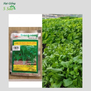 Hạt Giống Cải Ngọt Trang Nông ( 20 gr )