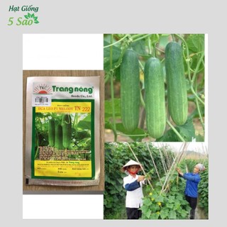 Dưa Leo F1 Melody TN 222 ( 10g ) Trang Nông