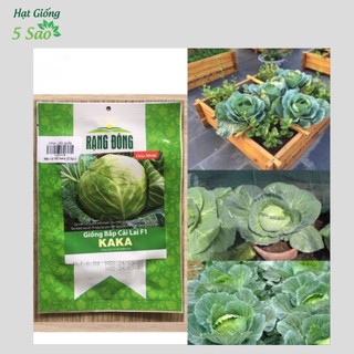 Bắp Cải RĐ KAKA chịu nhiệt