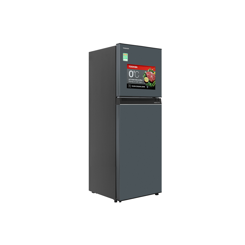 Tủ lạnh Toshiba Inverter 233 lít GR-RT303WE-PMV
