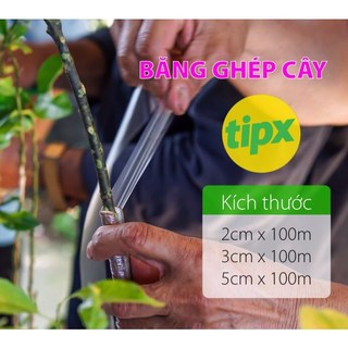 Băng keo ghép cành tipx - tự hủy, tự dính, bảo vệ mối ghép, kích thước: 2cm, 3cm, 5cm