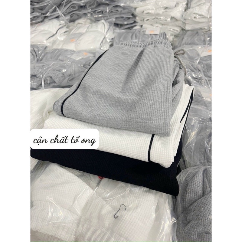 Quần Jogger nữ Chất Tổ Ong Chạy Viền Quần Thể Thao Unisex. Quần nỉ dày dặn cực kì năng động cá tính | BigBuy360 - bigbuy360.vn