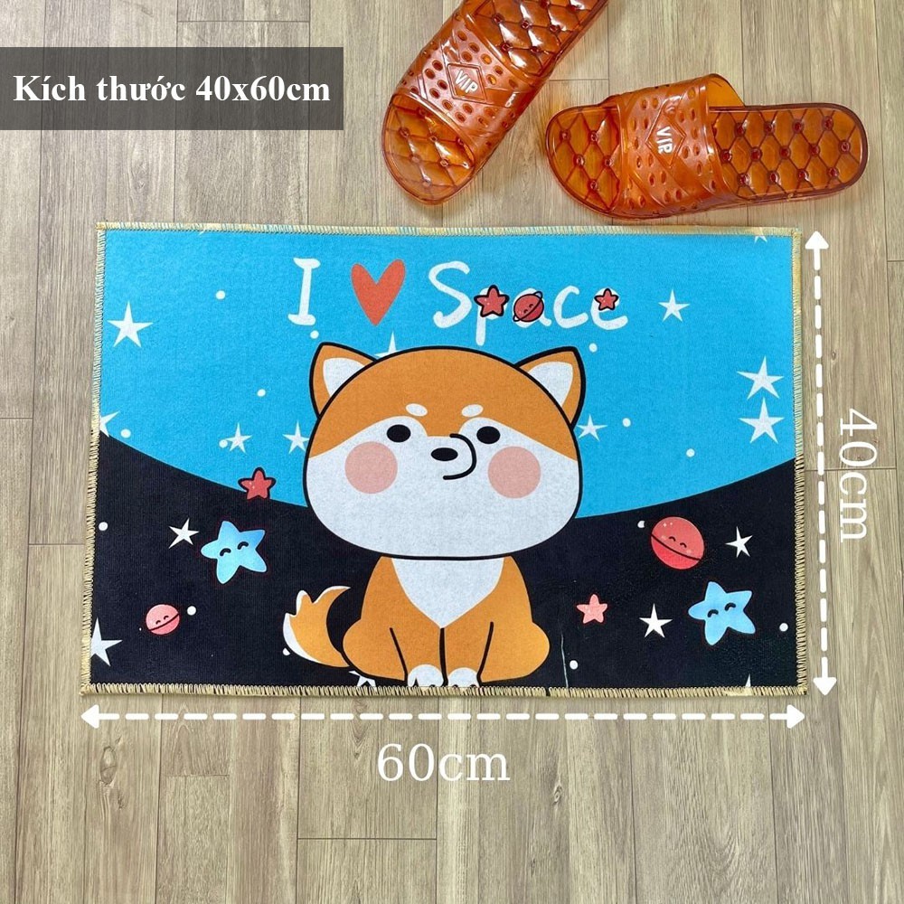 Combo 6 tấm thảm lau chân họa tiết ngẫu nhiên - thảm kích thước 40x60cm
