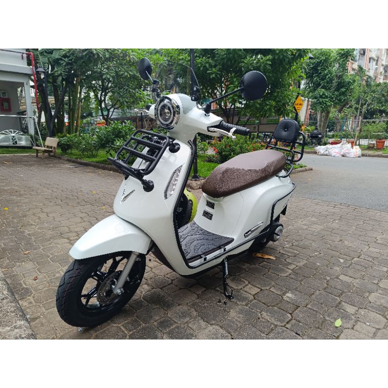 Baga tựa lưng có đệm xe điện VinFast evo200, evo200lite