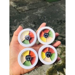 Che khuyết điểm triệt sắc Kryolan dạng ô nhỏ 6 ô màu che mọi khuyết điểm