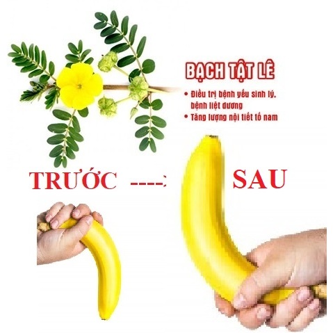 1 Ký Bạch Tật Lê  _ Tăng cường sung mãn quý ông