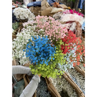 Cành hoa baby loại 1