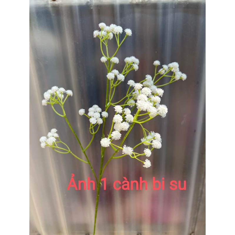 Cành hoa baby loại 1