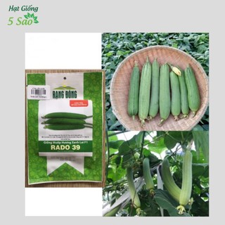 Mướp Hương Xanh Lai F1 RĐ 39