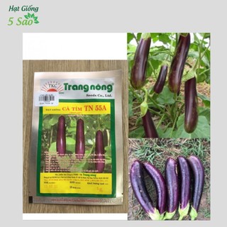 Cà Tím TN 55 A ( 5gr )