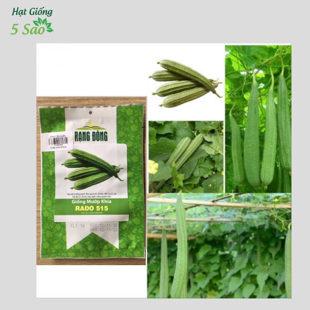 Hạt Giống Mướp Khía RĐ 515