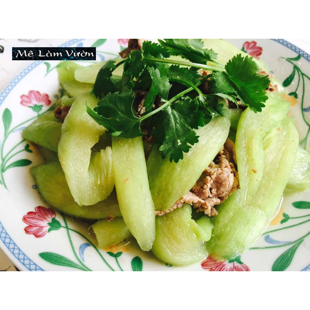 Cây môn ngọt giống siêu chất lượng siêu ngon như hình