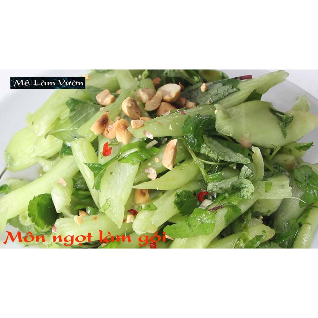 Cây môn ngọt giống siêu chất lượng siêu ngon như hình