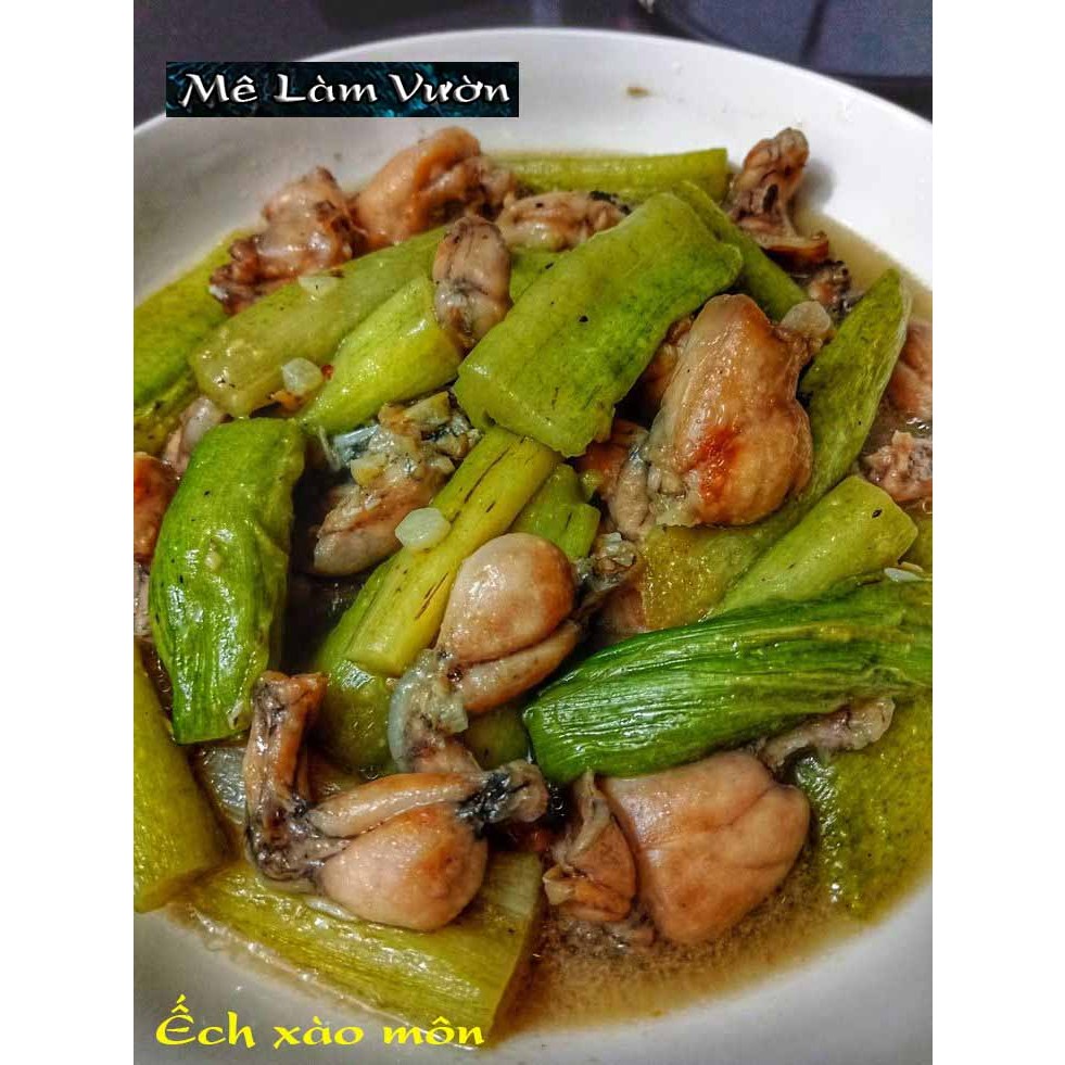 Cây môn ngọt giống siêu chất lượng siêu ngon như hình