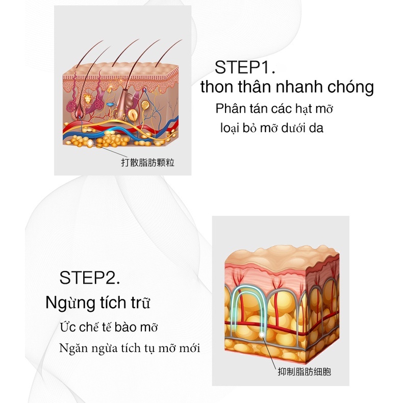 Giảm Mỡ Bụng 100% hàng chính kem tan mỡ bụng Body Slim tiêu mỡ giảm cân Kem giảm béo hiệu quả trong 7 ngày
