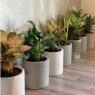 Chậu Đá Mài Trụ Tròn Đủ Kích Thước từ 20 đến 40cm