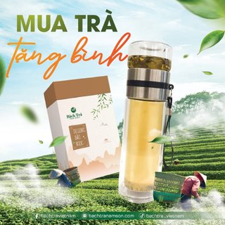 Bình thủy tinh cách nhiệt pha trà