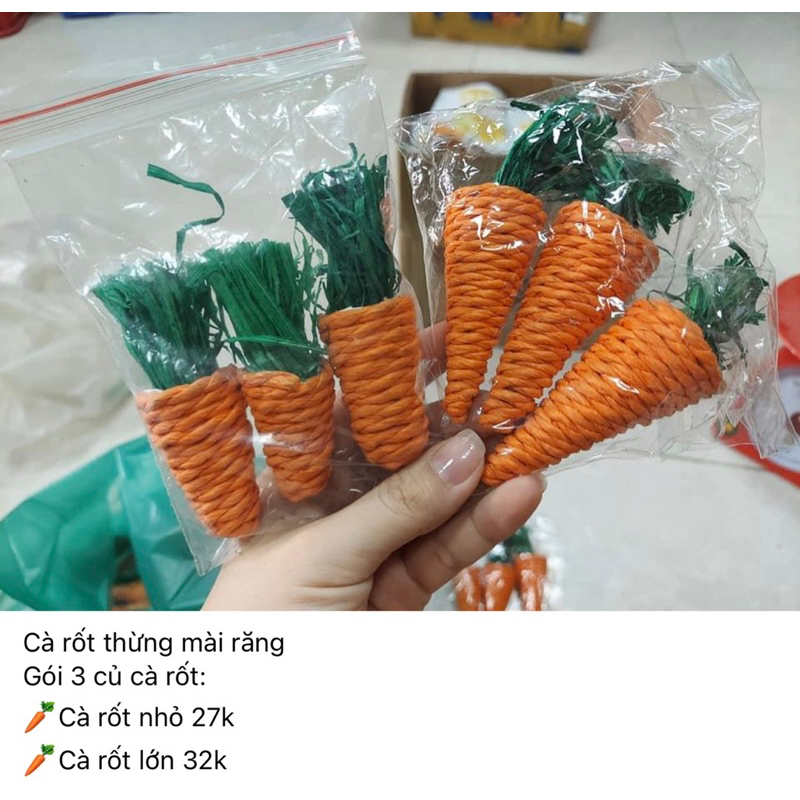 MÀI RĂNG CHO HAMSTER - chăm sóc sức khoẻ răng miệng cho hamster