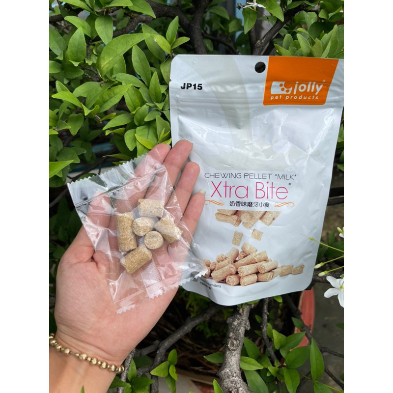 MÀI RĂNG CHO HAMSTER - chăm sóc sức khoẻ răng miệng cho hamster