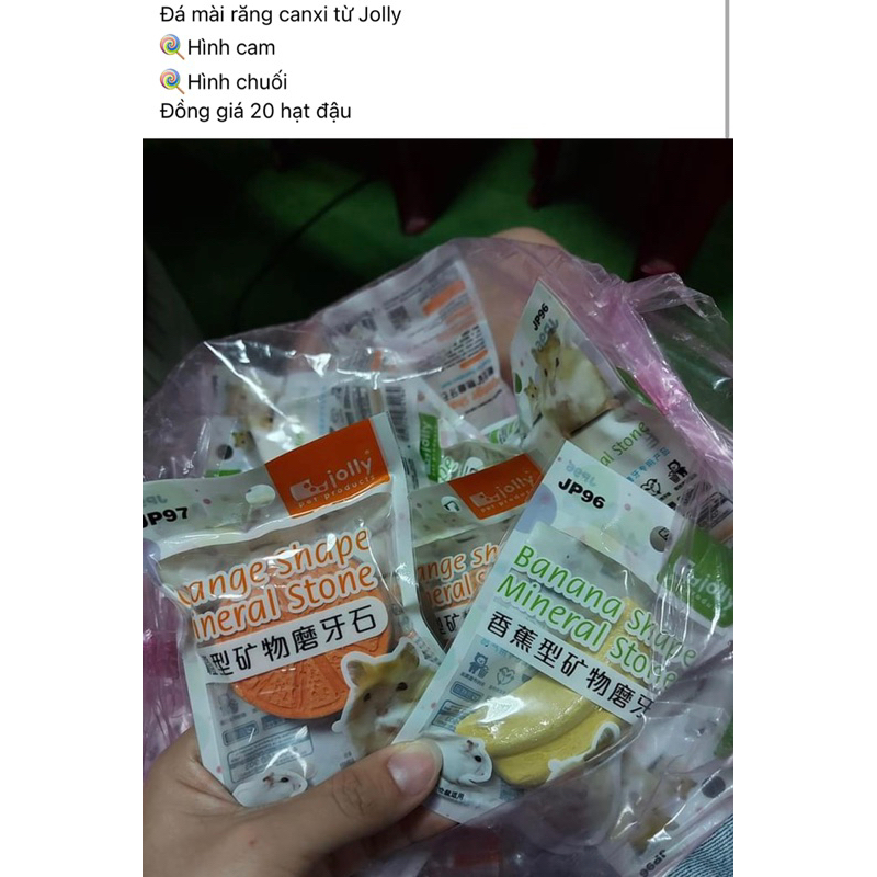 MÀI RĂNG CHO HAMSTER - chăm sóc sức khoẻ răng miệng cho hamster