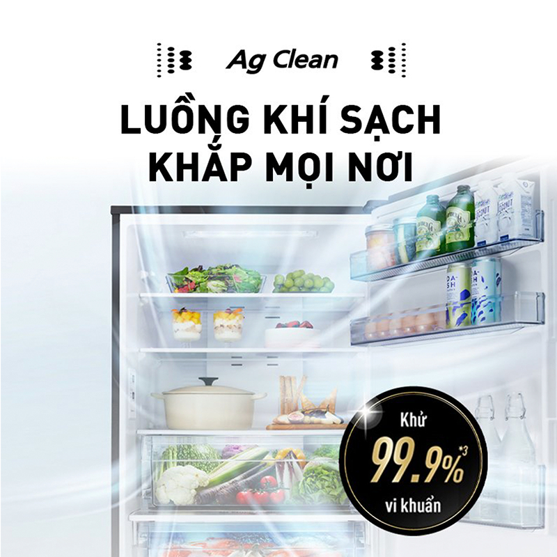 Tủ Lạnh Kháng Khuẩn Panasonic 255L NR-SP275CPSV - Cấp Đông Mềm - Siêu Tiết Kiệm - Ngăn Đá Dưới