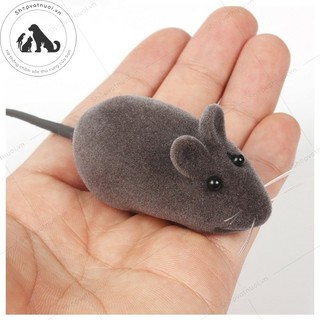 Đồ Chơi Chuột Chít